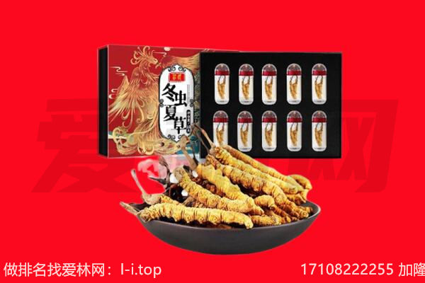 宁波市象山回收虫草.jpg